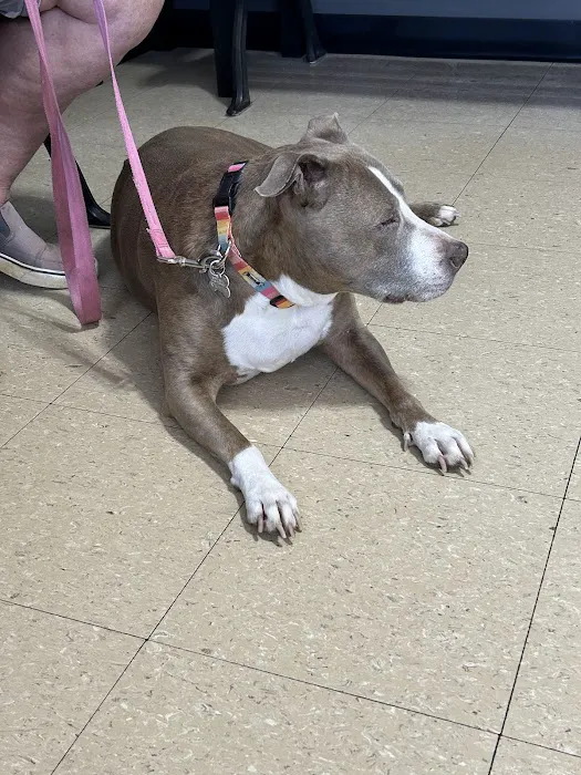 Somerset Animal Hospital Picture 3