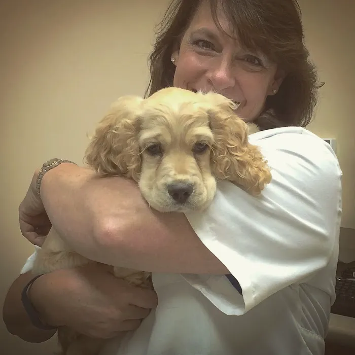 Lake Cumberland Animal Hospital Picture 8
