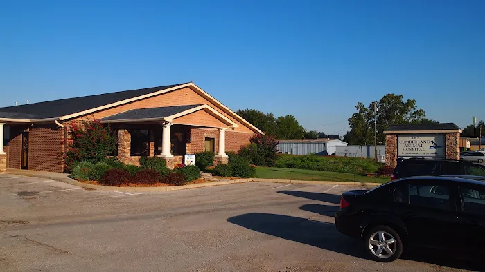 Lake Cumberland Animal Hospital Picture 7