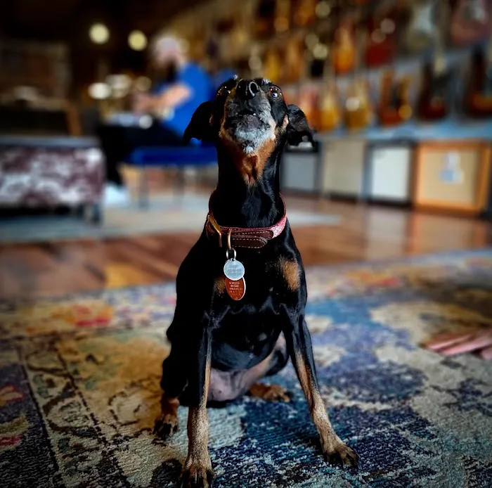 Midway Veterinary Hospital Picture 10