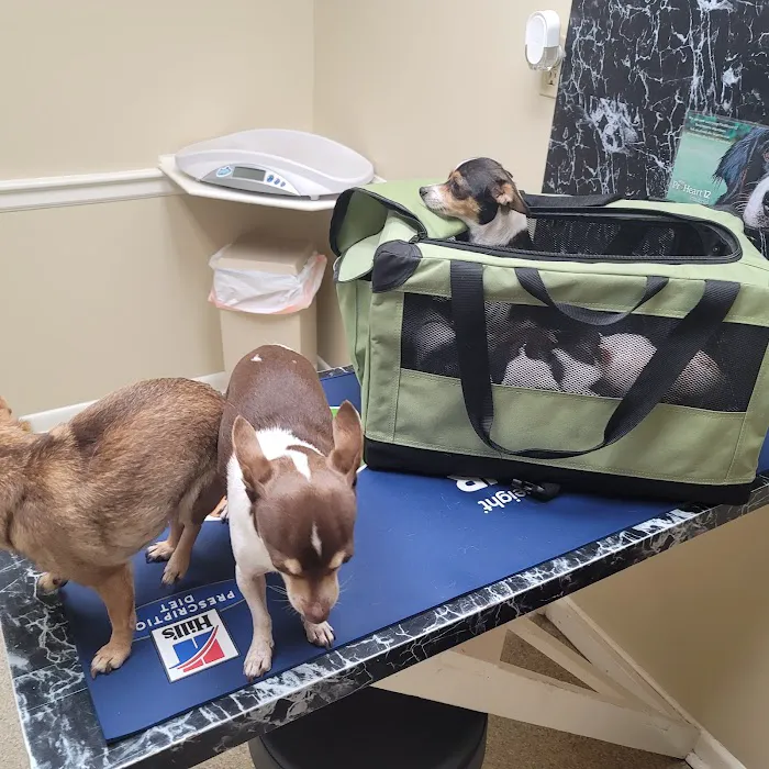 Nash, Cleveland, & Godfrey Veterinary Clinic Picture 7