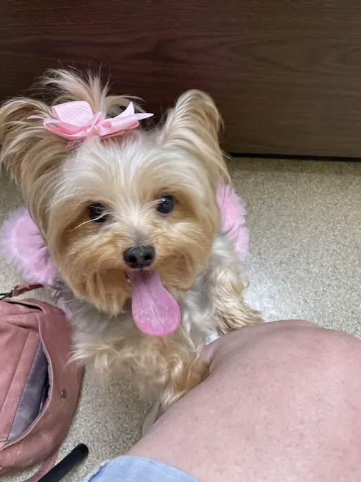 Nash, Cleveland, & Godfrey Veterinary Clinic Picture 5