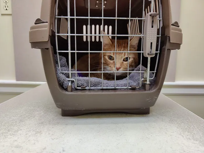 Nash, Cleveland, & Godfrey Veterinary Clinic Picture 2