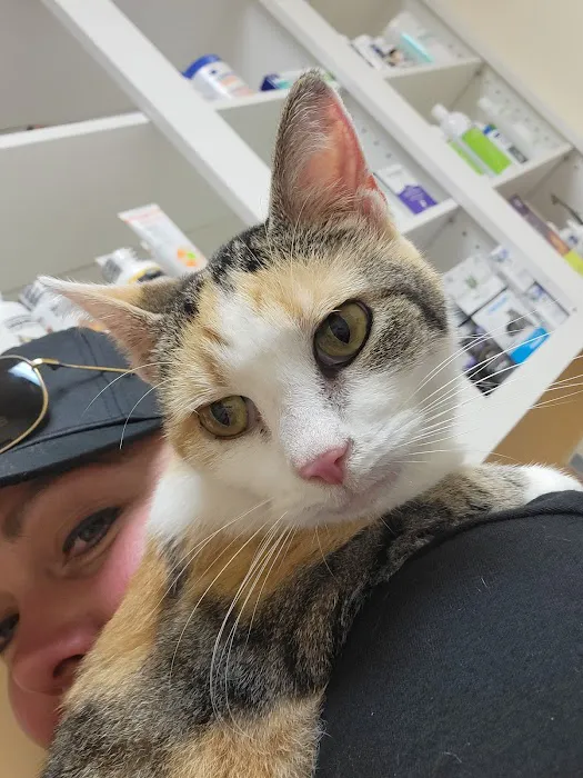 Town & Country Animal Clinic Picture 7