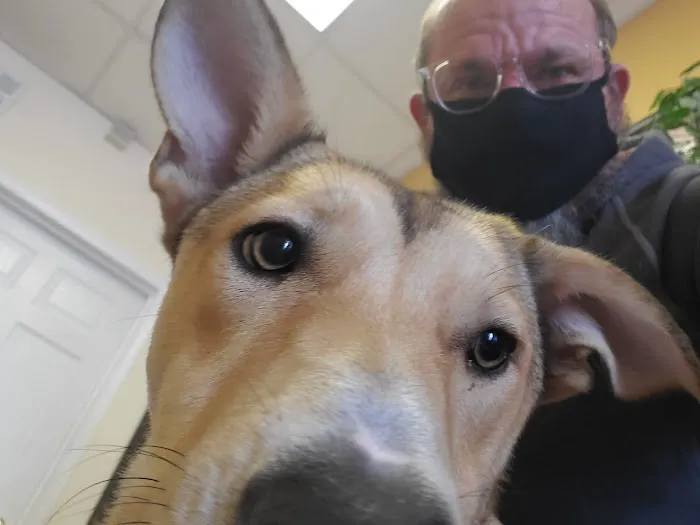 Town & Country Animal Clinic Picture 3