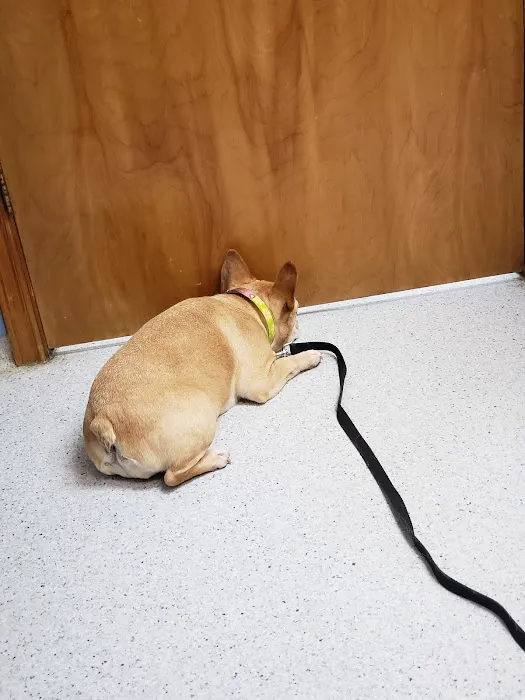 Conover Veterinary Hospital Picture 1