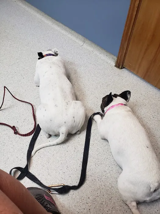 Conover Veterinary Hospital Picture 2