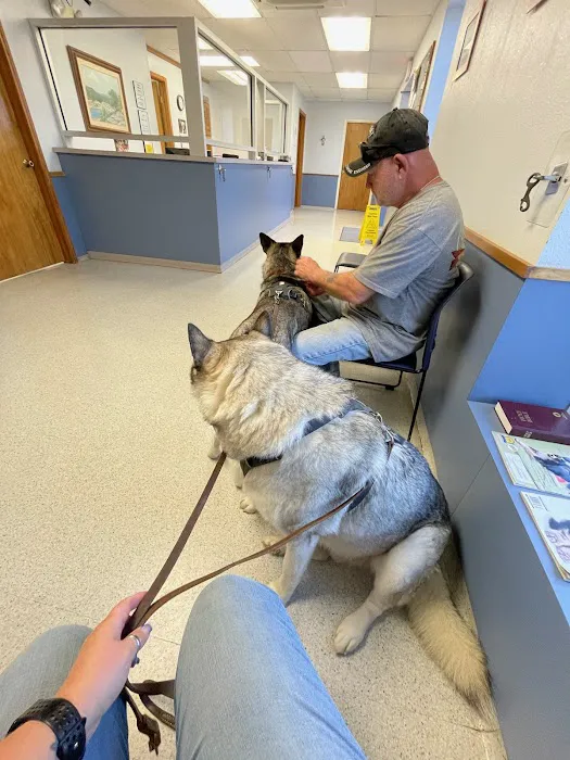 Conover Veterinary Hospital Picture 10