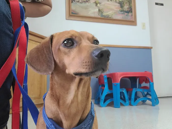 Conover Veterinary Hospital Picture 4