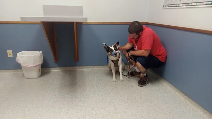 Conover Veterinary Hospital Picture 7