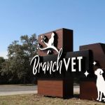 BranchVet
