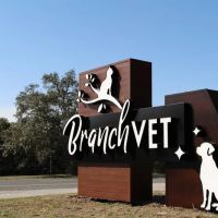 BranchVet ico