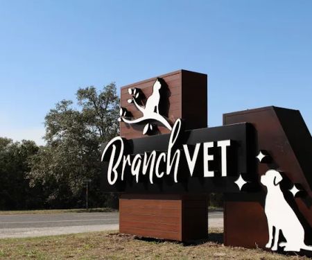 BranchVet