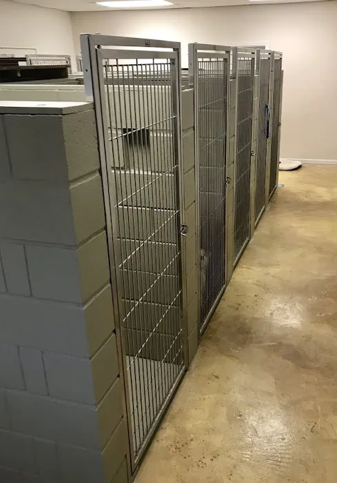 Startz Veterinary, PLLC Picture 3