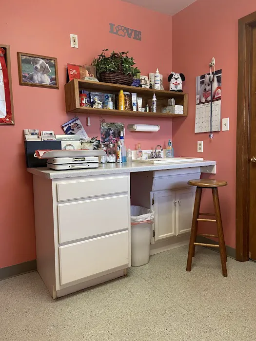 Sullivan County Animal Hospital Picture 9