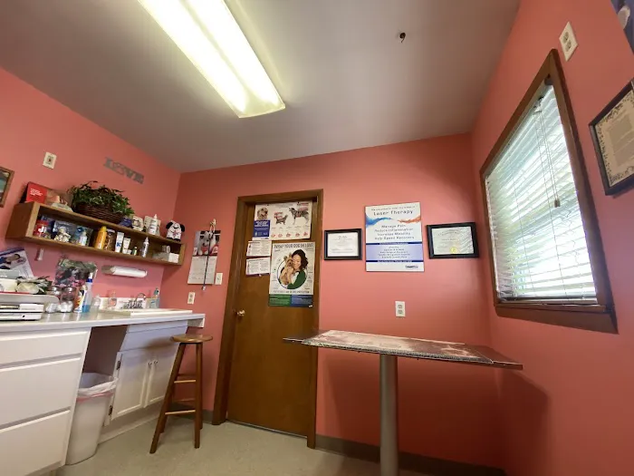Sullivan County Animal Hospital Picture 8