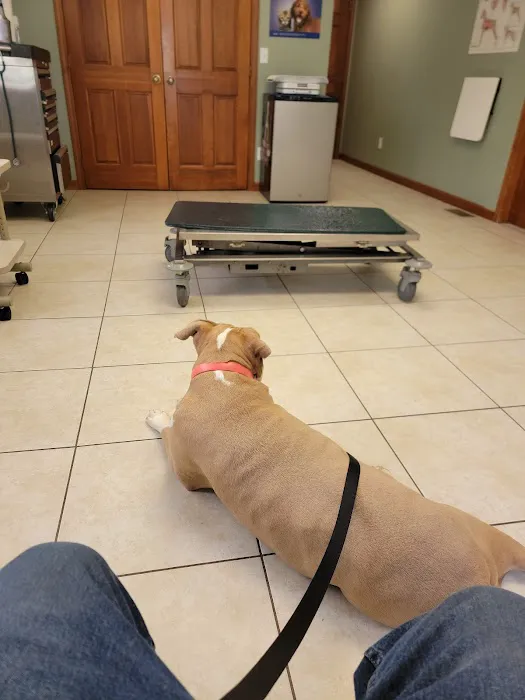 Eastside Veterinary Clinic Picture 1