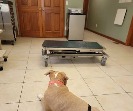 Eastside Veterinary Clinic