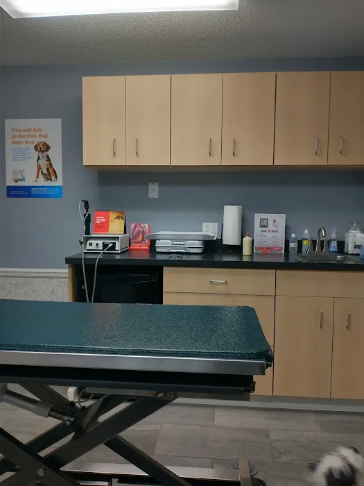 Eastside Veterinary Clinic Picture 6
