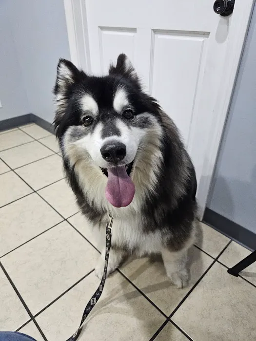 Washington Veterinary Hospital Picture 1