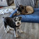 Wallace Veterinary Clinic