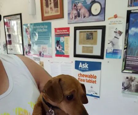 Cumback Veterinary Services