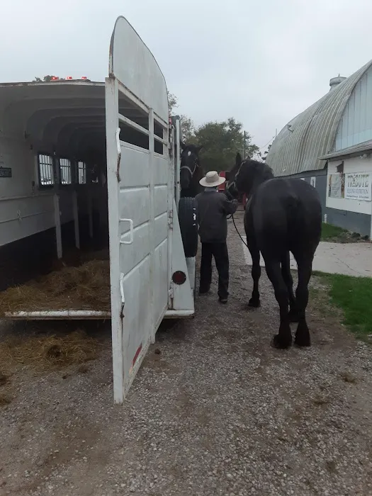 Southern Indiana Equine Picture 4
