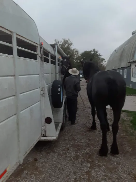 Southern Indiana Equine Picture 5