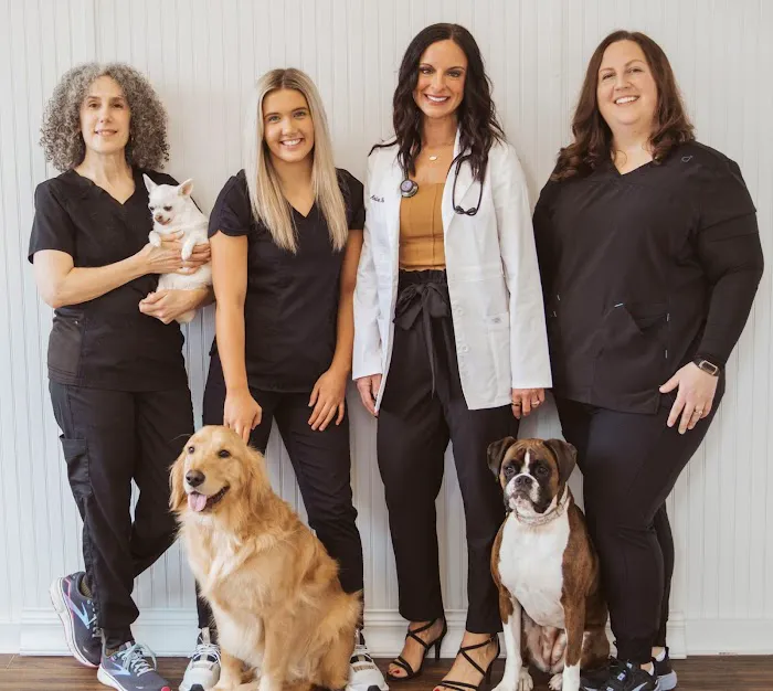 Wags & Whiskers Animal Clinic Picture 5