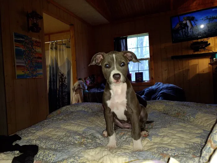 Animal Care Clinic Picture 4