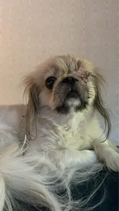 Animal Care Clinic Picture 3