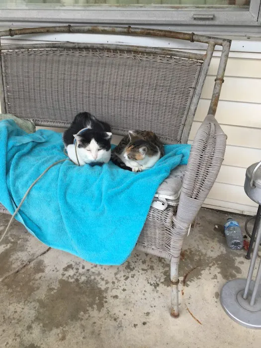 Animal Care Clinic Picture 7