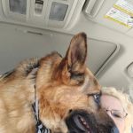 Greenwood Veterinary Clinic