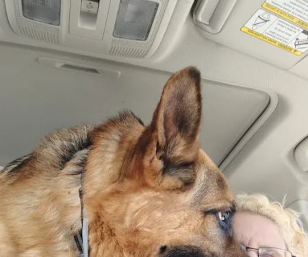 Greenwood Veterinary Clinic