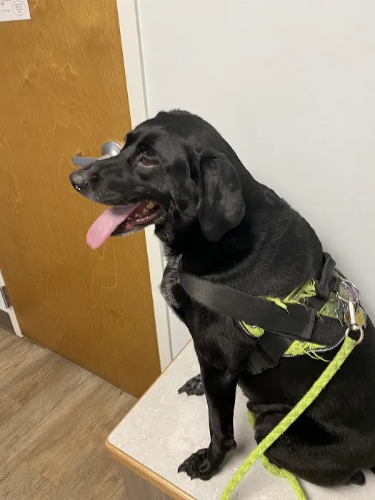 Stateline Hillcrest Animal Hospital Picture 4