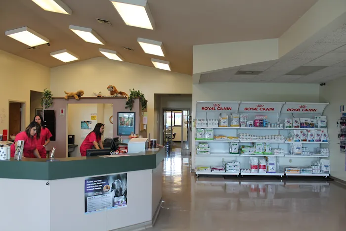 Stateline Hillcrest Animal Hospital Picture 10