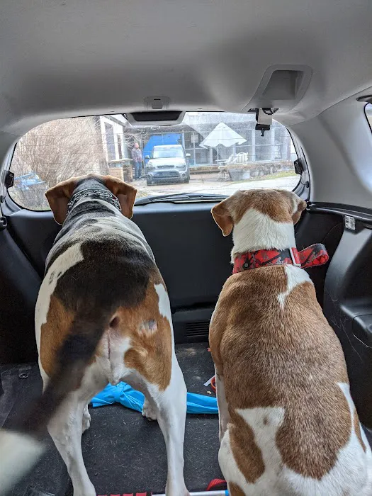 Crystal Creek Kennels/North Central Indiana Spay & Neuter Picture 2