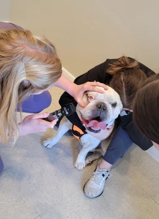 Delphi Animal Hospital Picture 2
