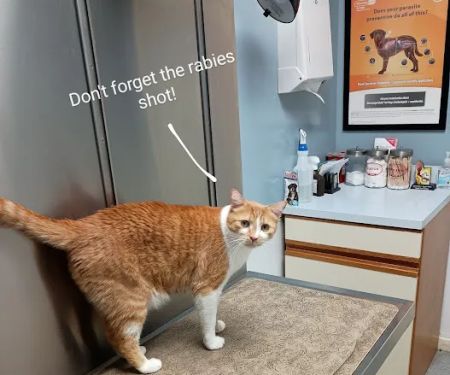 Tippecanoe Animal Hospital Inc: Becker Julia M DVM