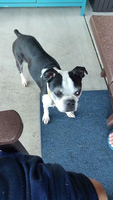 Tippecanoe Animal Hospital Picture 7