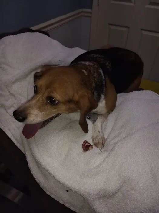 Tippecanoe Animal Hospital Picture 9