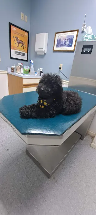 Tippecanoe Animal Hospital Picture 1