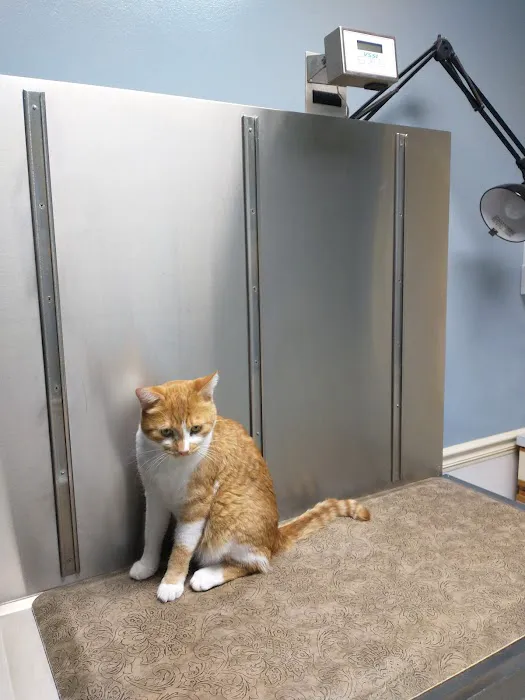 Tippecanoe Animal Hospital Picture 6