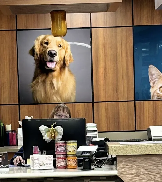 VCA Lafayette Animal Hospital Picture 1