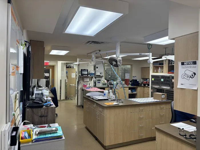 VCA Lafayette Animal Hospital Picture 9