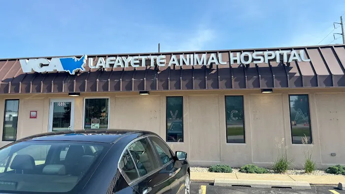 VCA Lafayette Animal Hospital Picture 3