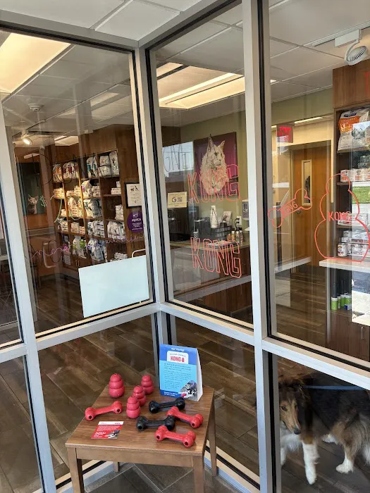 VCA Lafayette Animal Hospital Picture 6