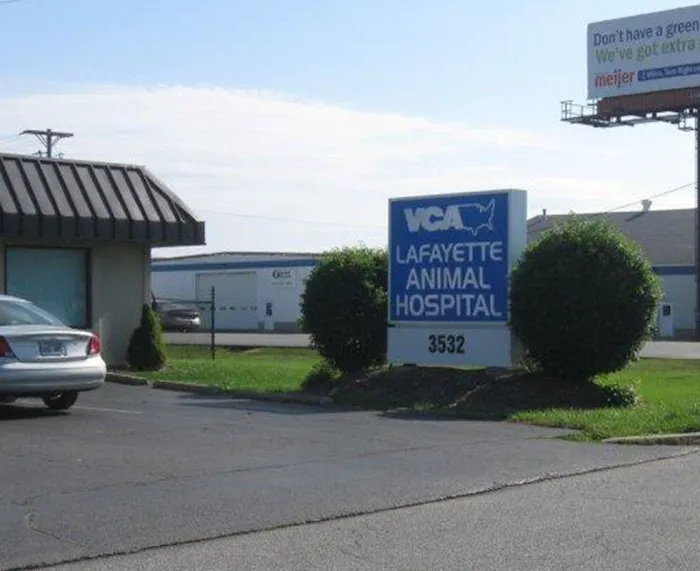 VCA Lafayette Animal Hospital Picture 8