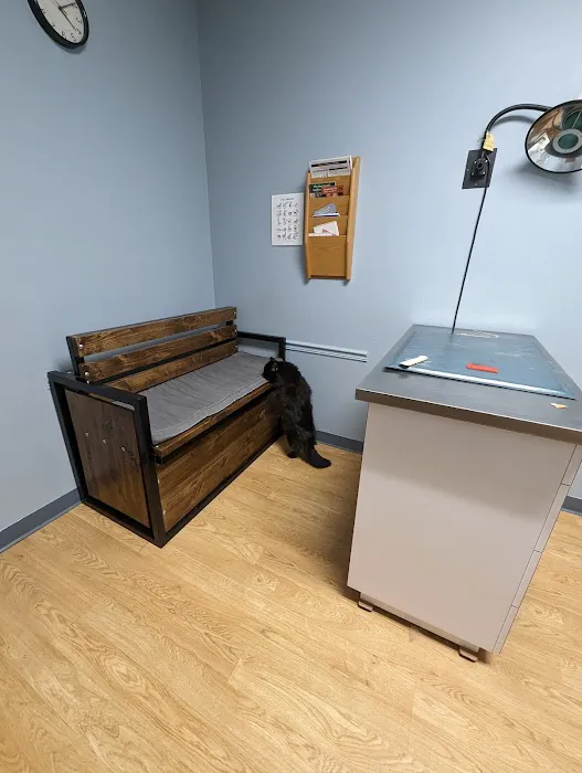 Meow Doctors (Greater Lafayette Cat Hospital) Picture 6