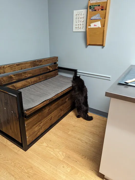 Meow Doctors (Greater Lafayette Cat Hospital) Picture 7